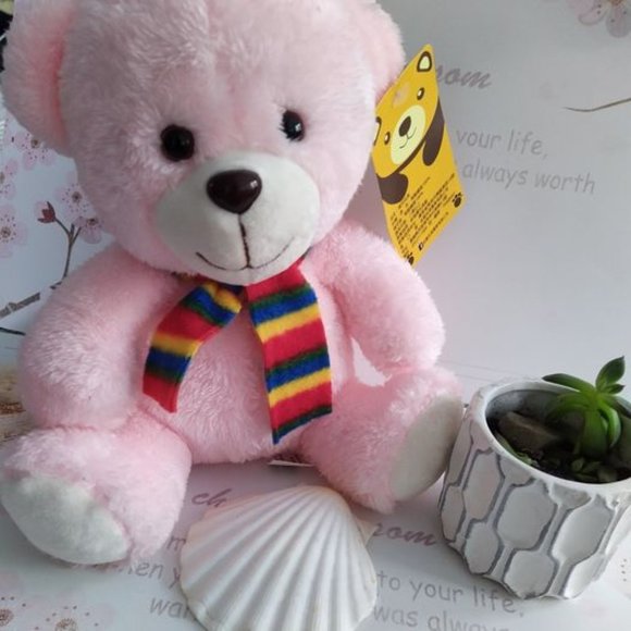 Pink Bear Plushie - Picture 1 of 5